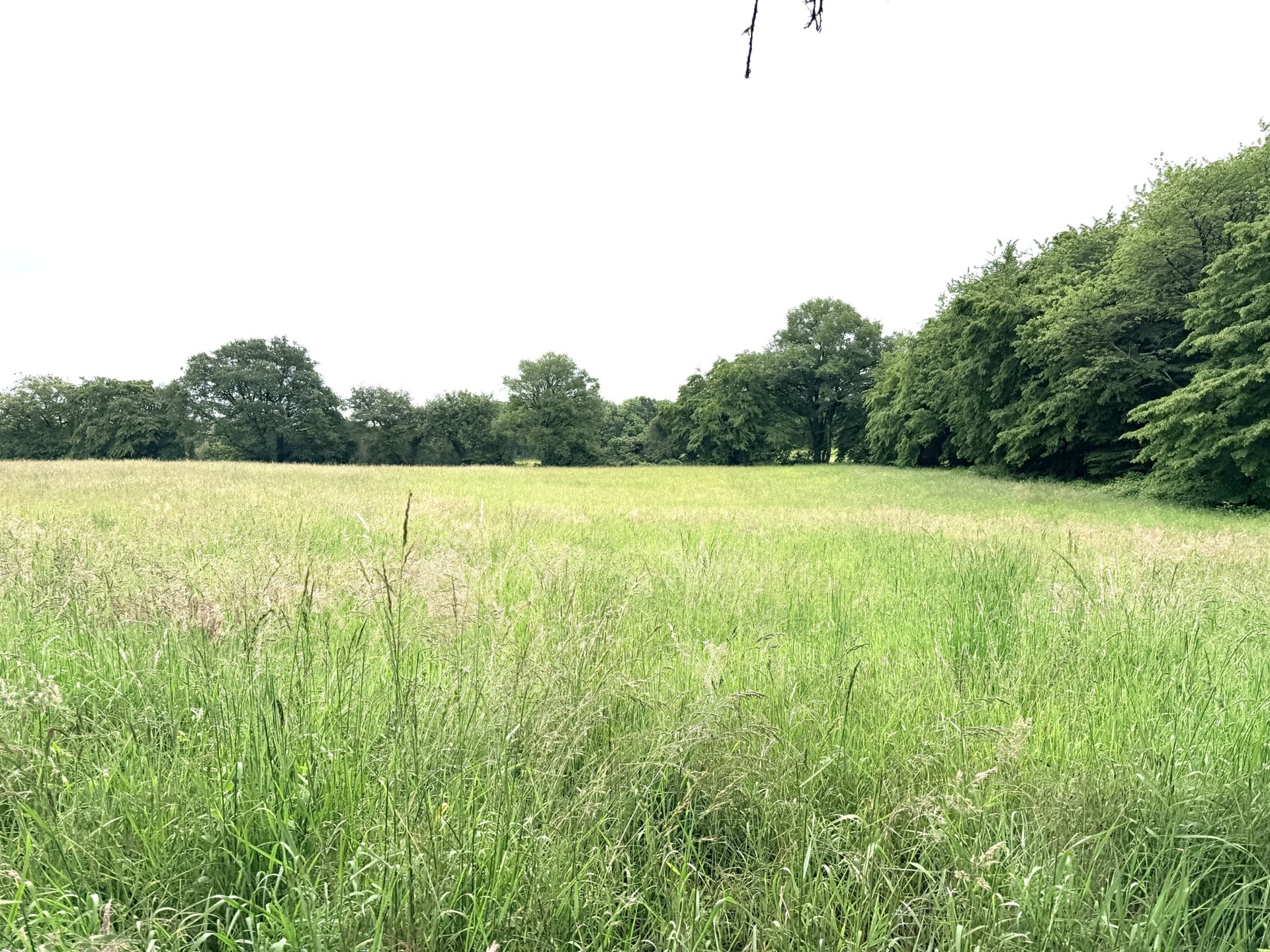 Maison à vendre, 111m², Toucy