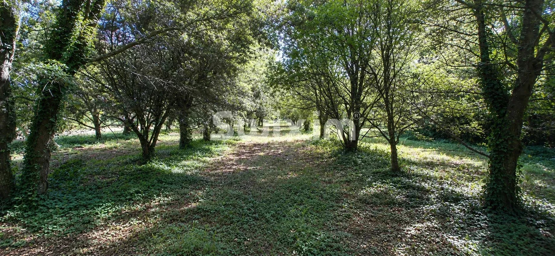 Maison à vendre, 411m², Grignan