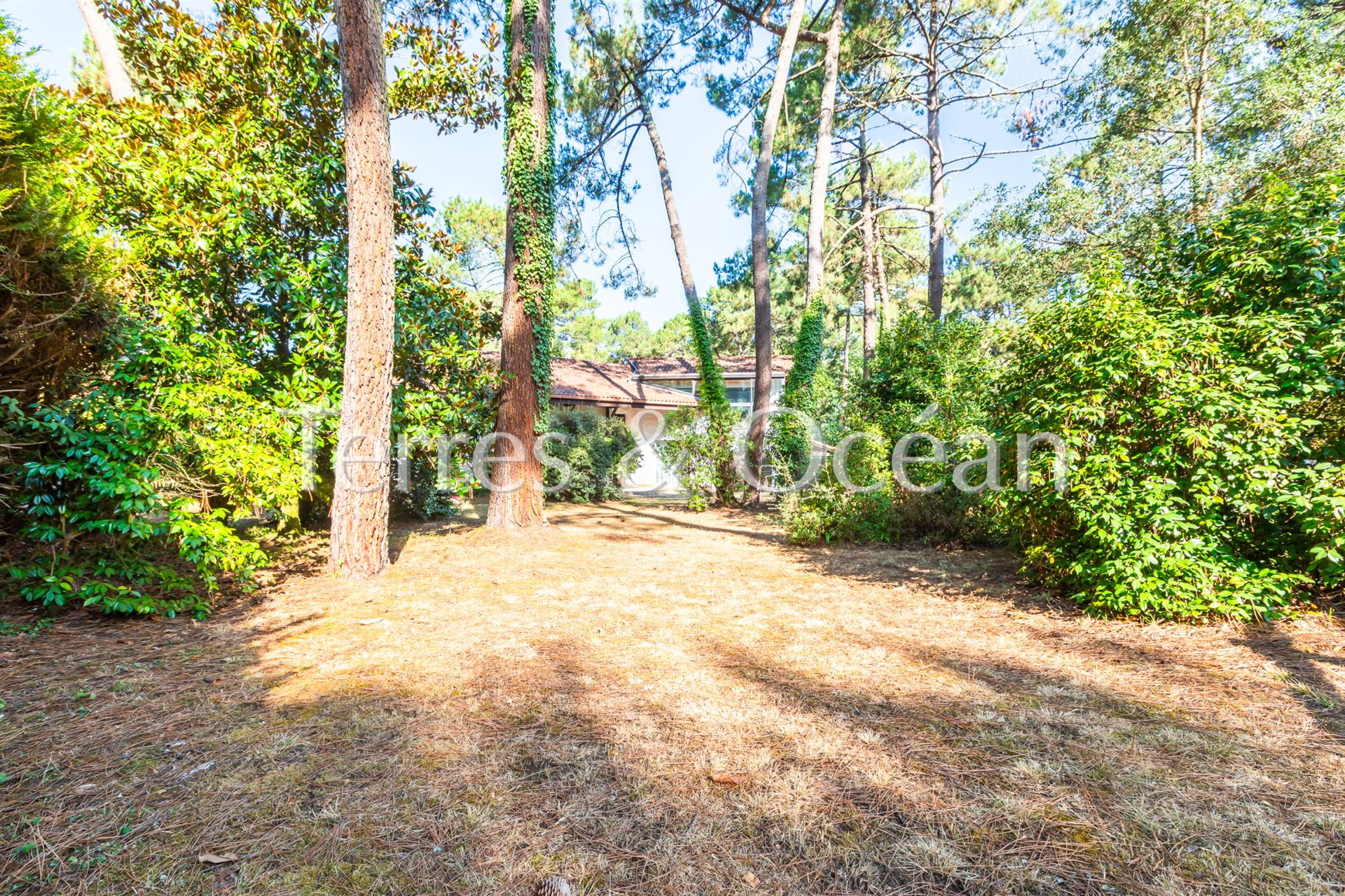 Maison à vendre, 220m², Soorts-Hossegor