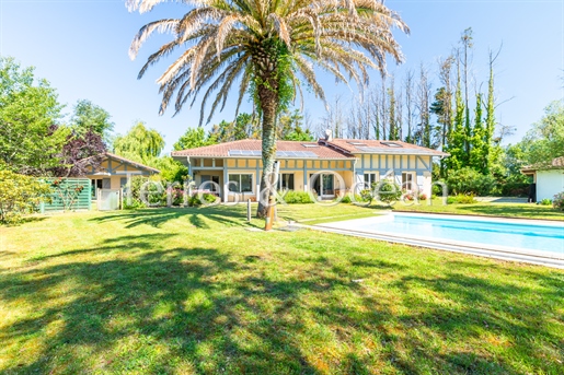Saubion 322m²