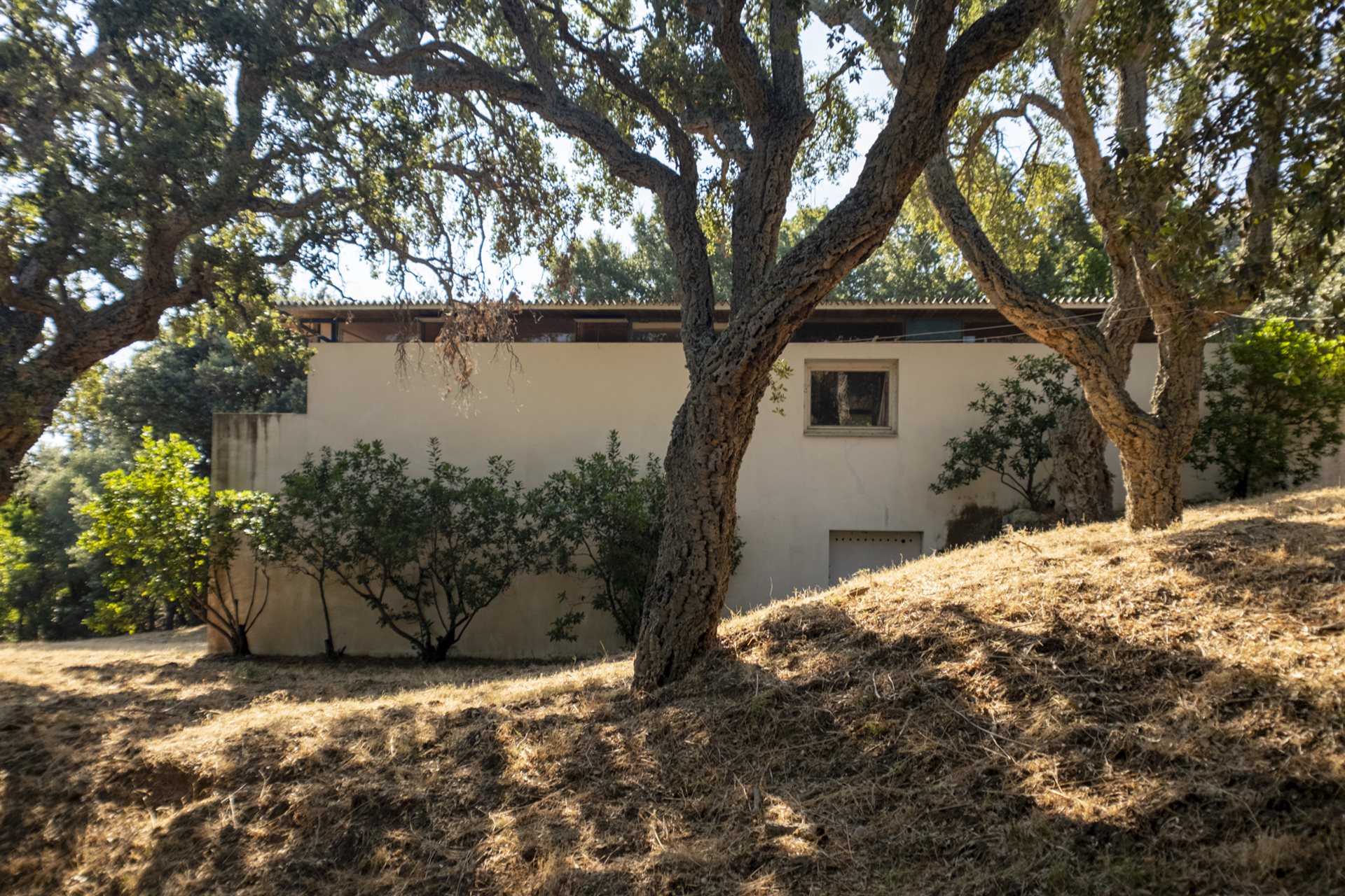 Maison à vendre, 170m², Sainte-Lucie de Porto-Vecchio
