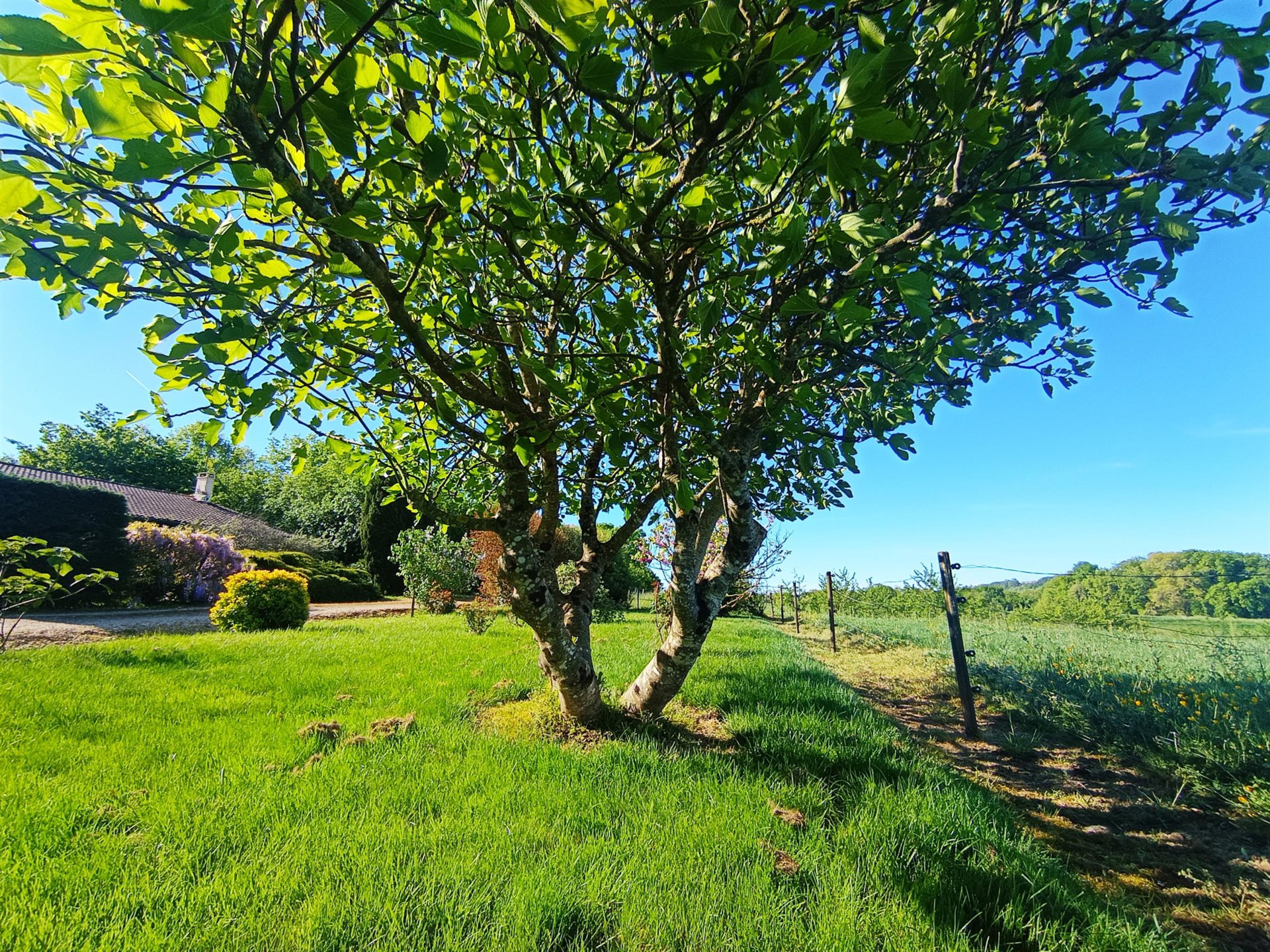 Maison à vendre, 135m², Condezaygues