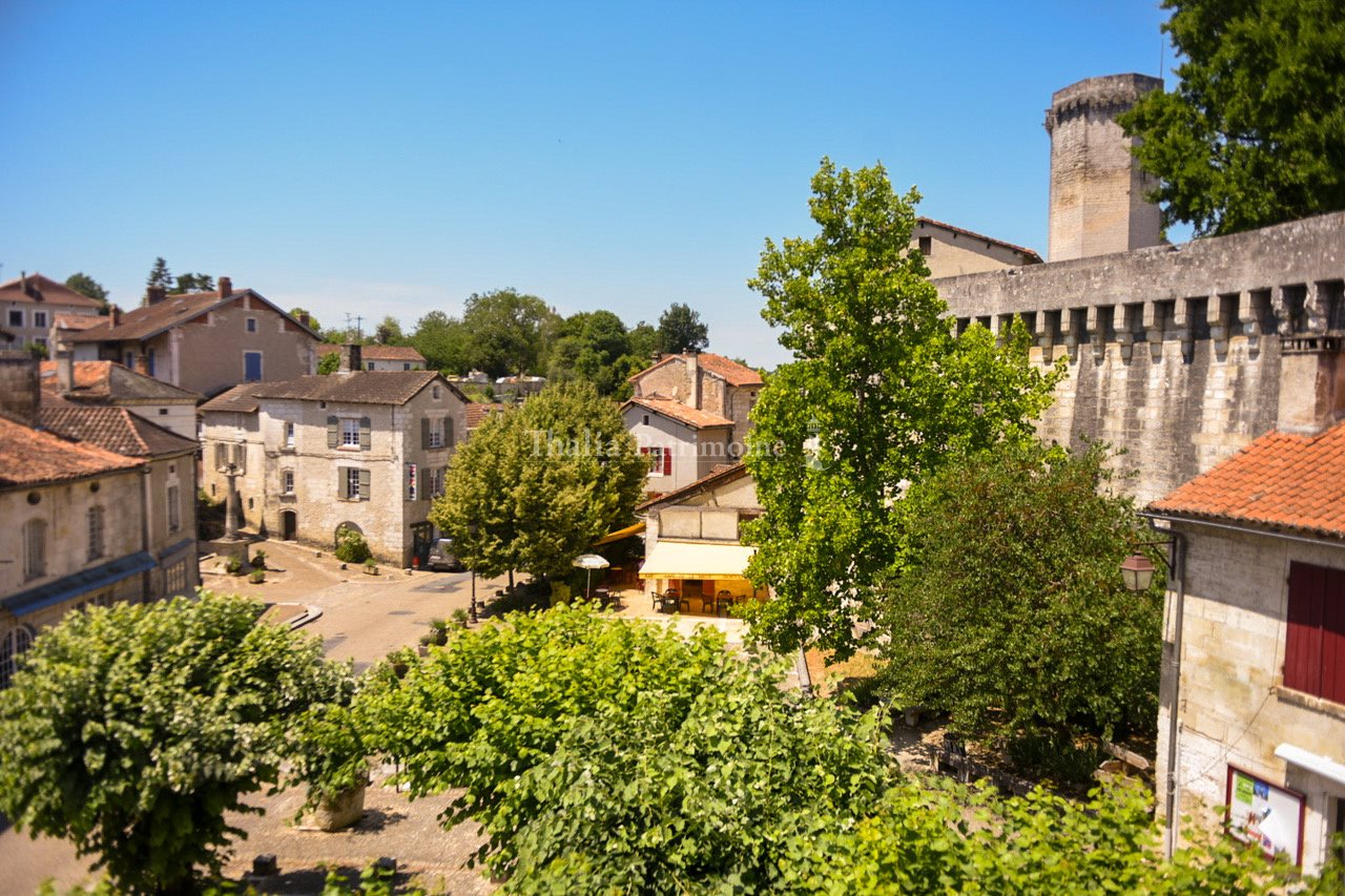 Maison à vendre, 430m², Bourdeilles