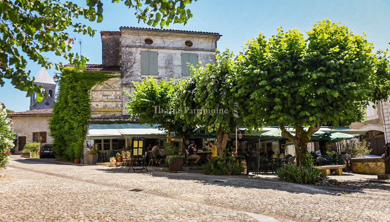 Maison à vendre, 430m², Bourdeilles