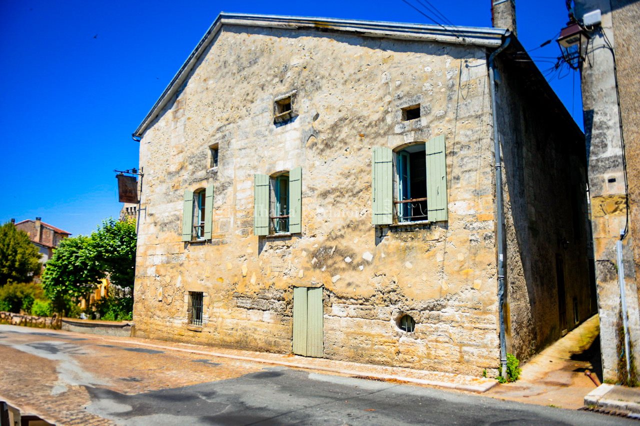 Maison à vendre, 430m², Bourdeilles