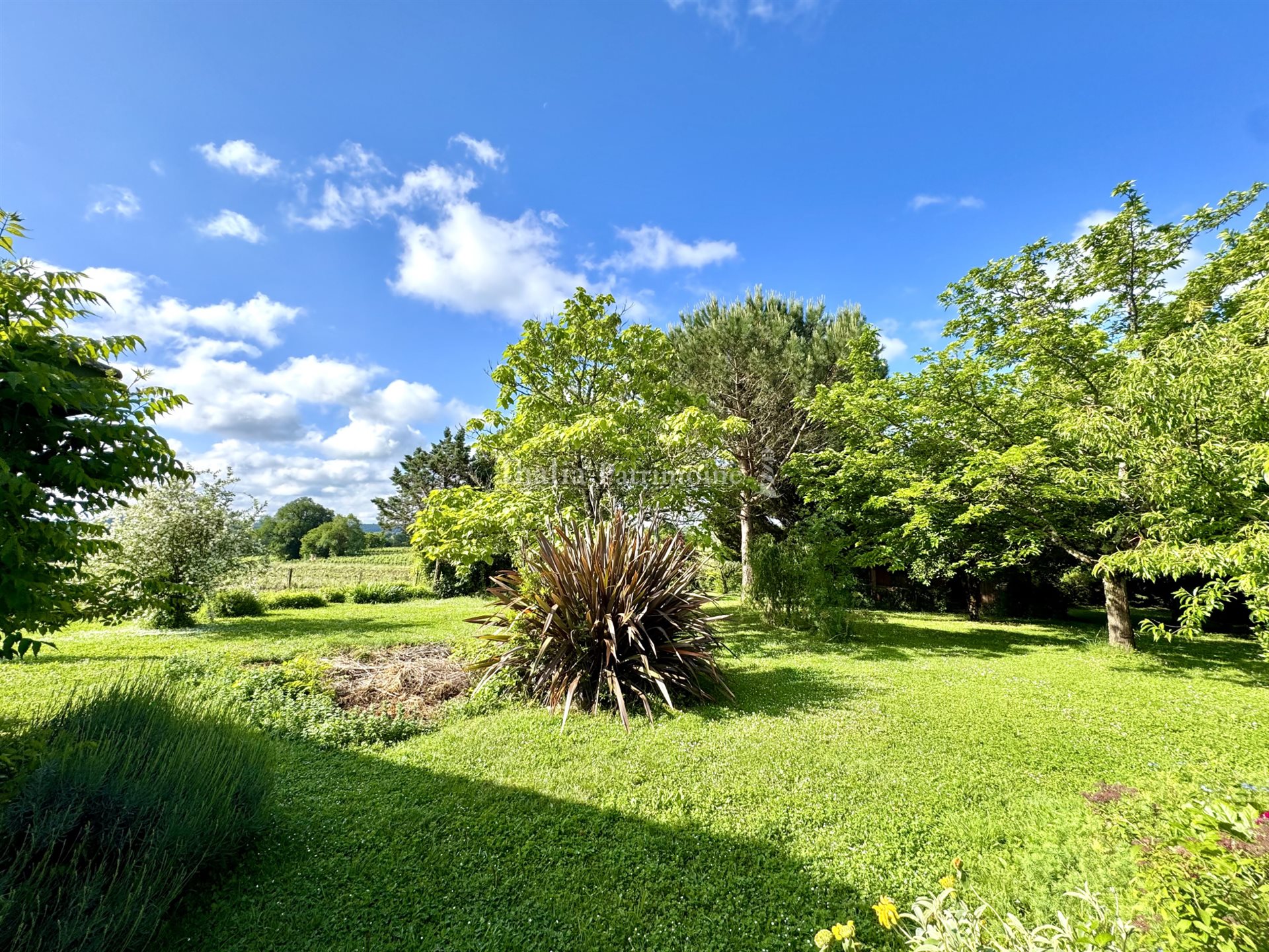 Maison à vendre, 220m², Cadillac-sur-Garonne