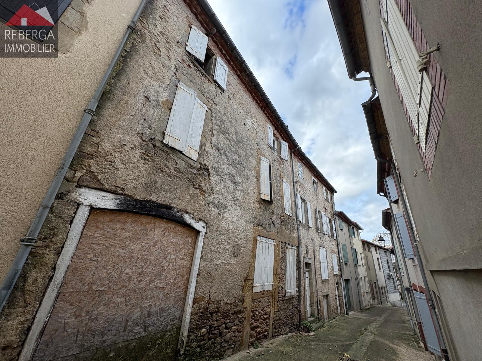 Maison à vendre, 304m², Saint-Amans-Soult