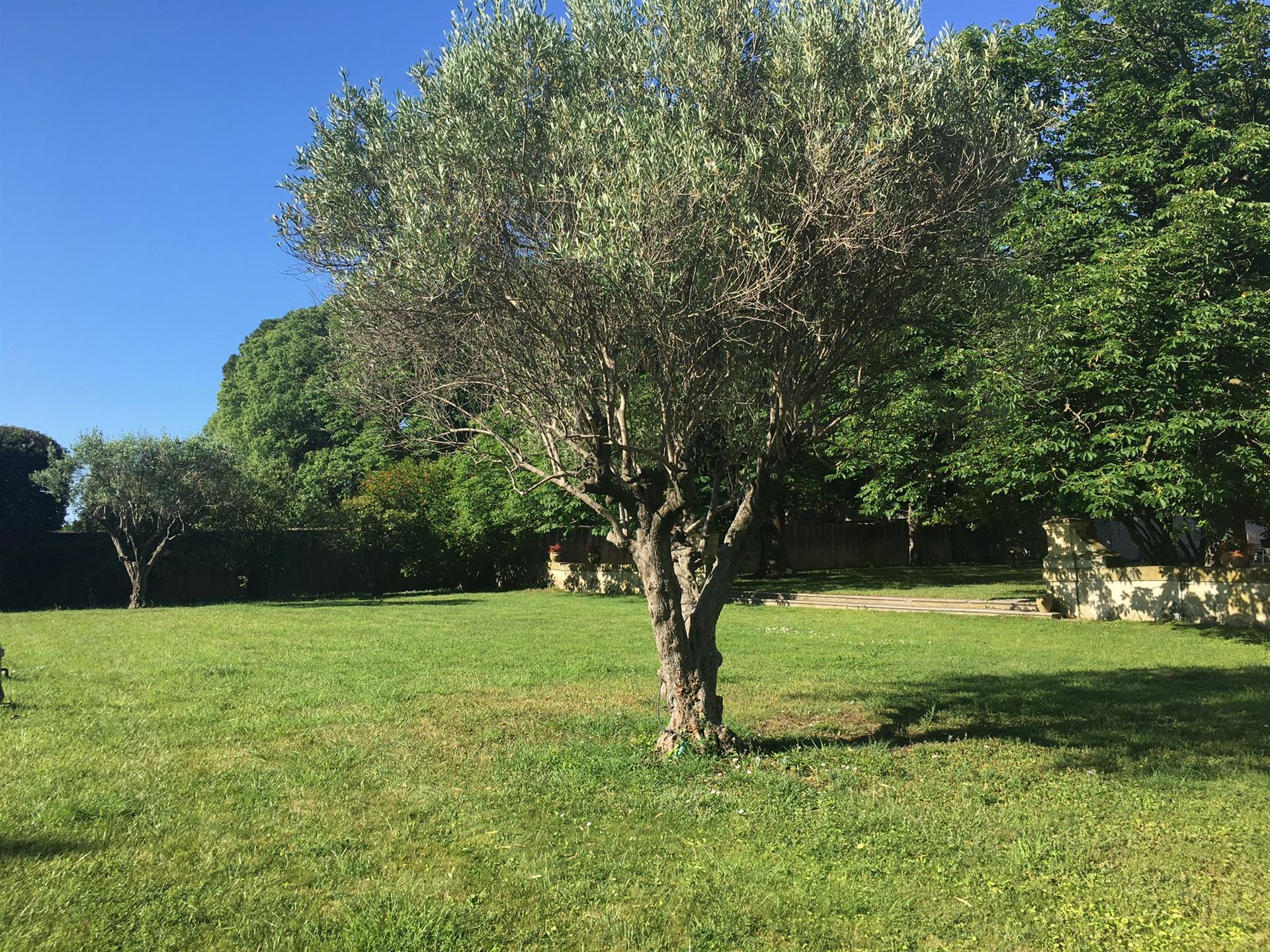 Maison à vendre, 120m², Lunel-Viel