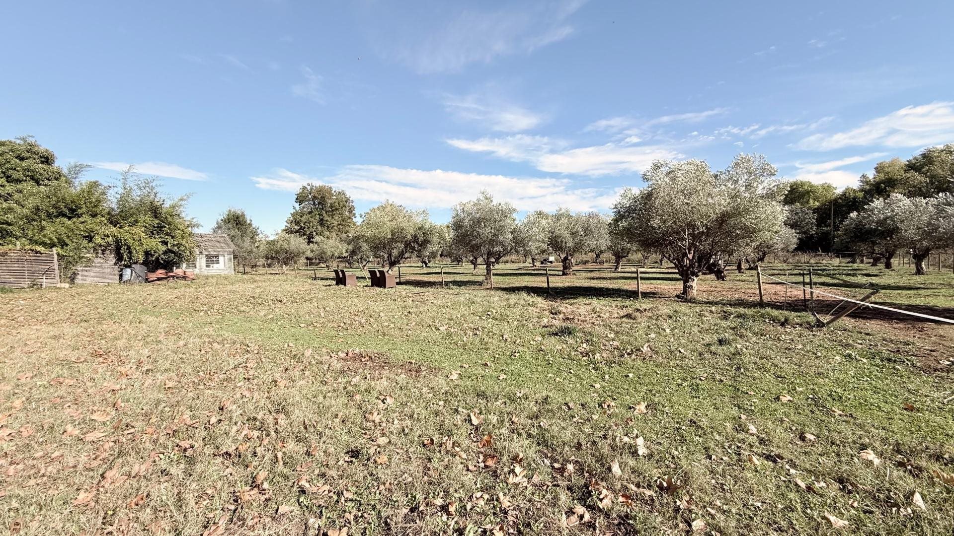 Maison à vendre, 817m², Vidauban