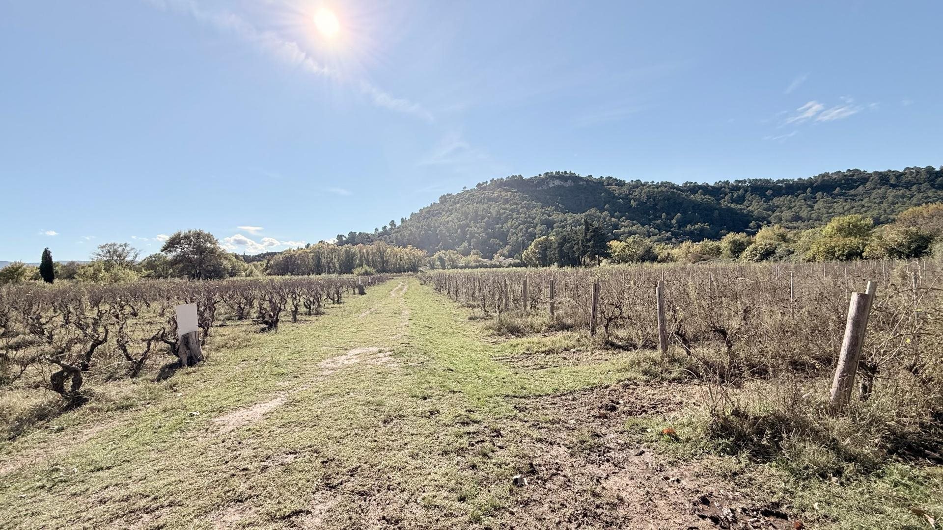 Maison à vendre, 817m², Vidauban