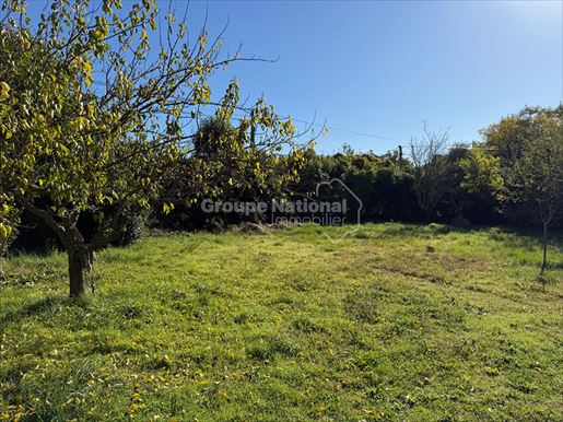 Terrain 641 m² · à Cruviers-Lascours · 641 m² · 86 000 €