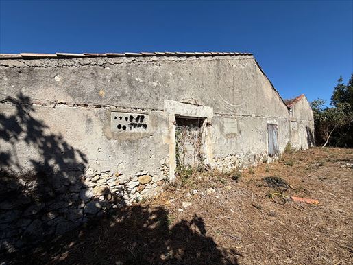 Maison 1 pièce 100 m² · à Saint-Geniès-de-Malgoirès · 100 m² · 90 000 €