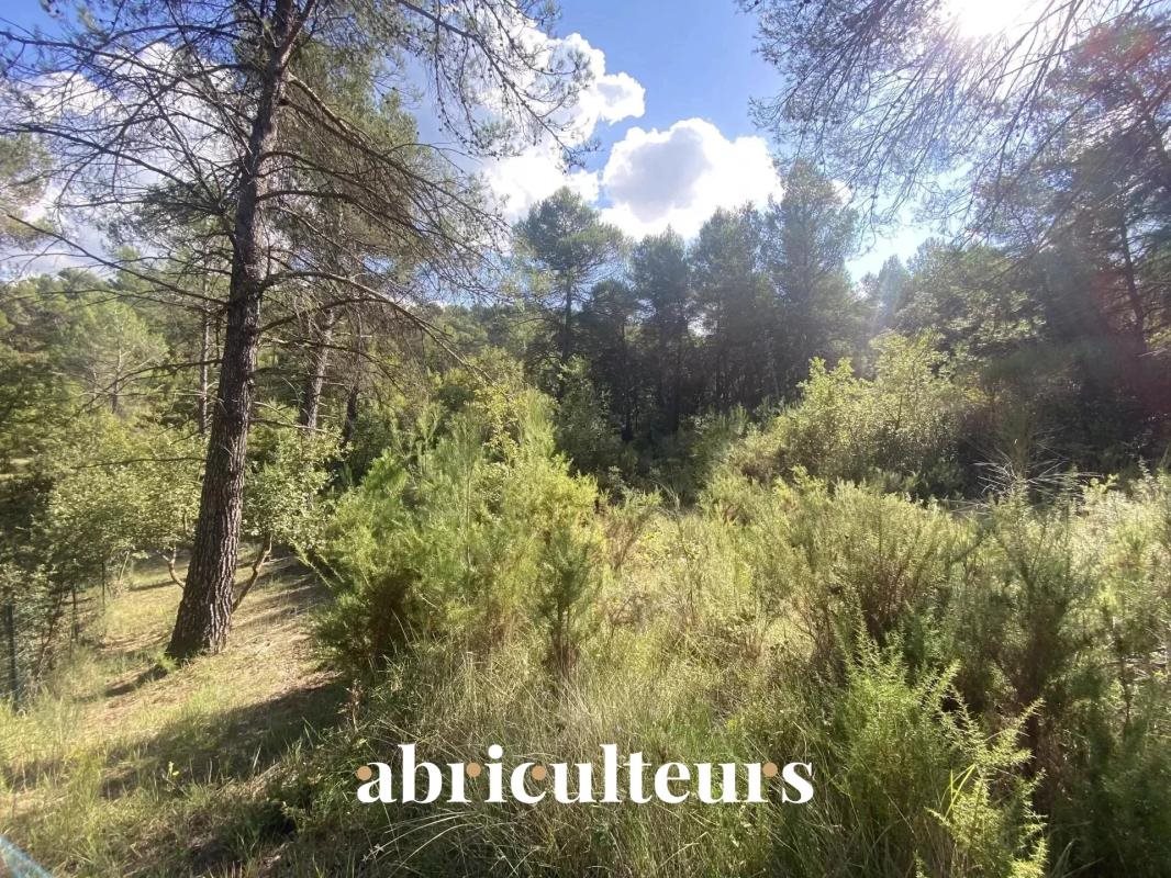 Buildable land of 2,653 m² - La-Roque-d'Anthéron (13640) - Vue 2