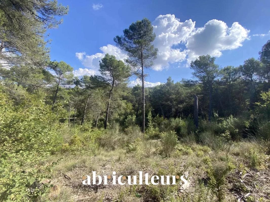 Buildable land of 2,653 m² - La-Roque-d'Anthéron (13640) - Vue 3