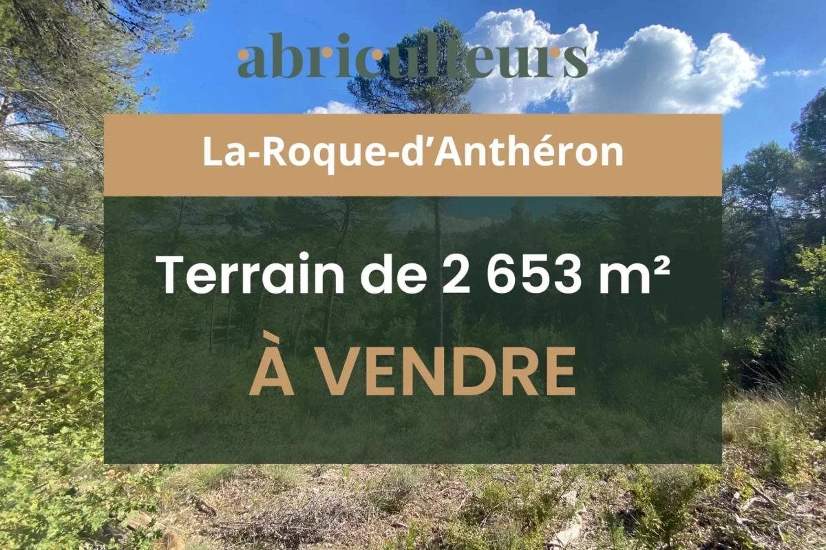 Buildable land of 2,653 m² - La-Roque-d'Anthéron (13640) - Vue 4