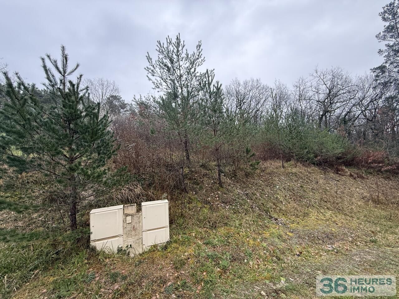 FOR SALE — BUILDING PLOT NEAR PÉRIGUEUX - Vue 2