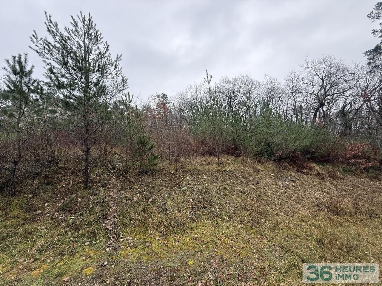 FOR SALE — BUILDING PLOT NEAR PÉRIGUEUX - Vue 3