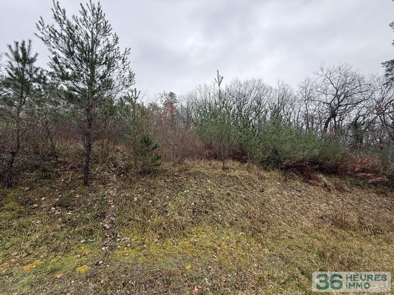 FOR SALE — BUILDING PLOT NEAR PÉRIGUEUX - Vue 4
