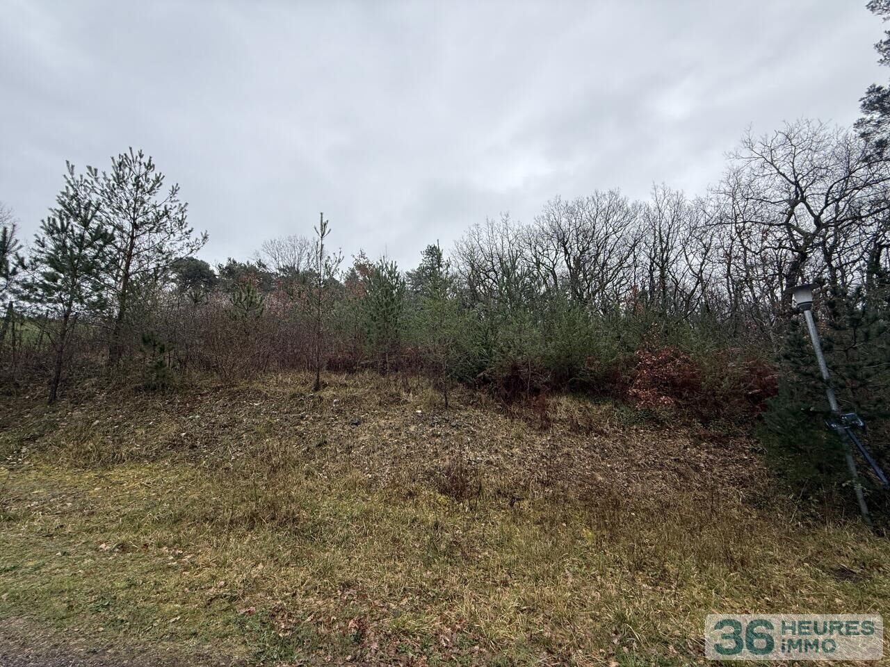 FOR SALE — BUILDING PLOT NEAR PÉRIGUEUX - Vue 5