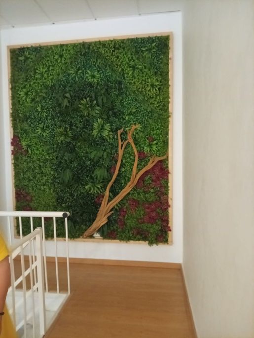 Marbella (Málaga) photo 2