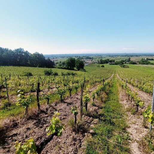 Maison 10 pièces 310 m² · à Saint-Magne-de-Castillon · 310 m² · 650 000 €