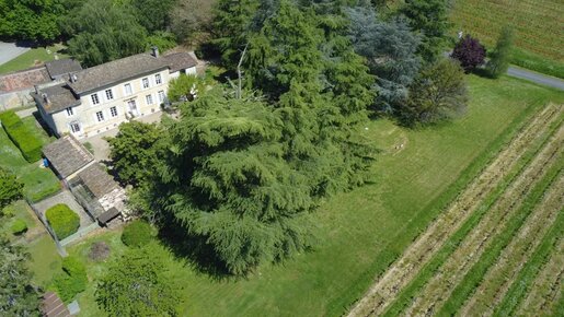 Maison 12 pièces 360 m² · à Saint-Magne-de-Castillon · 360 m² · 795 000 €