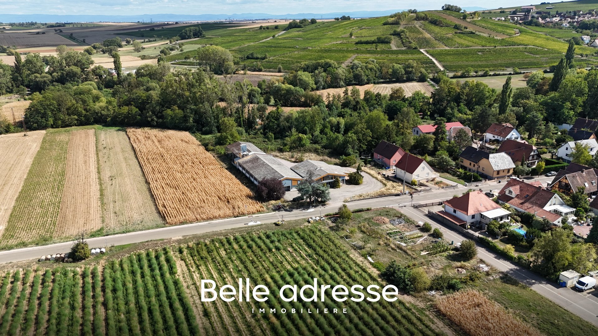 Maison à vendre, 900m², Odratzheim
