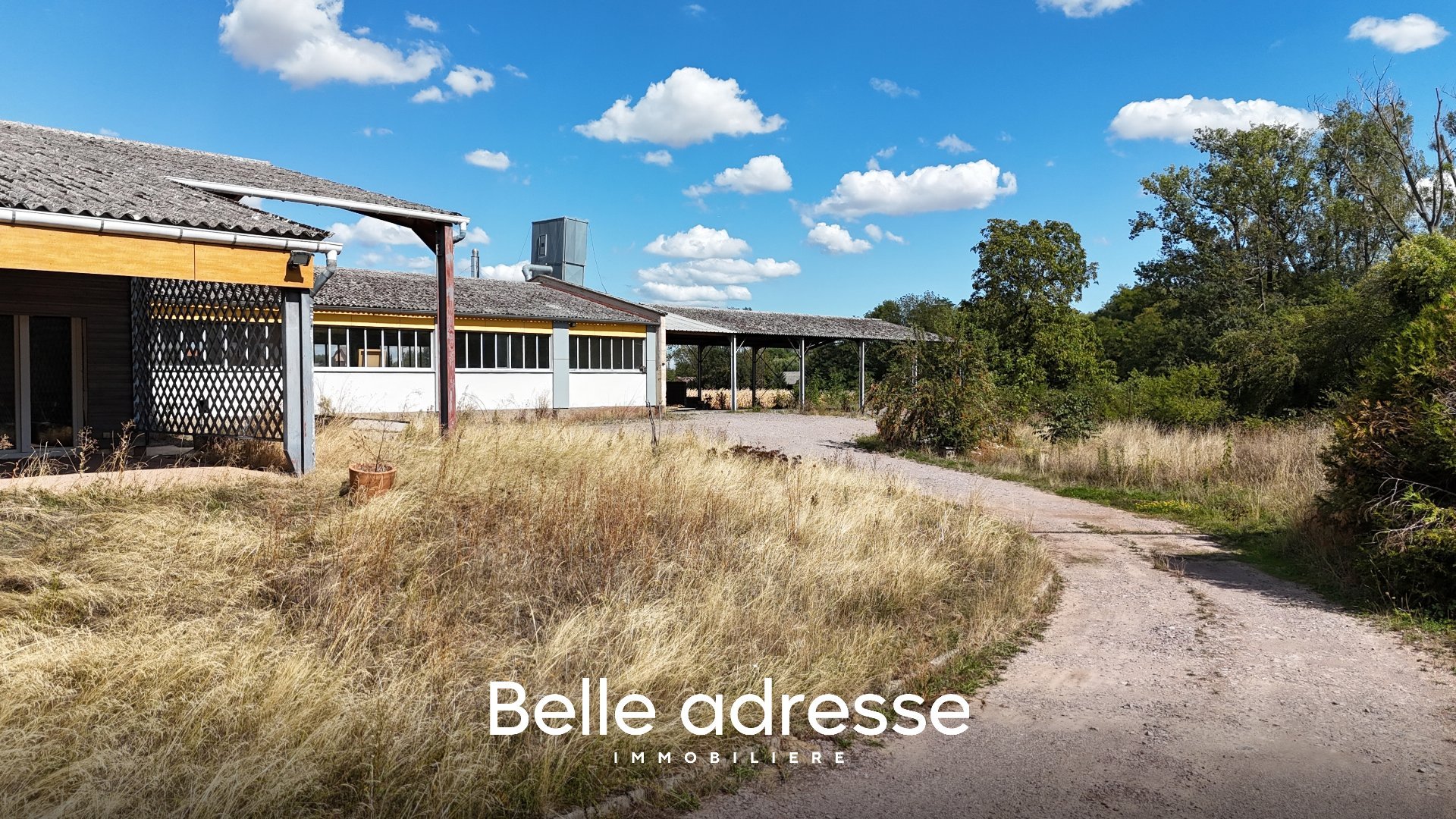 Maison à vendre, 900m², Odratzheim