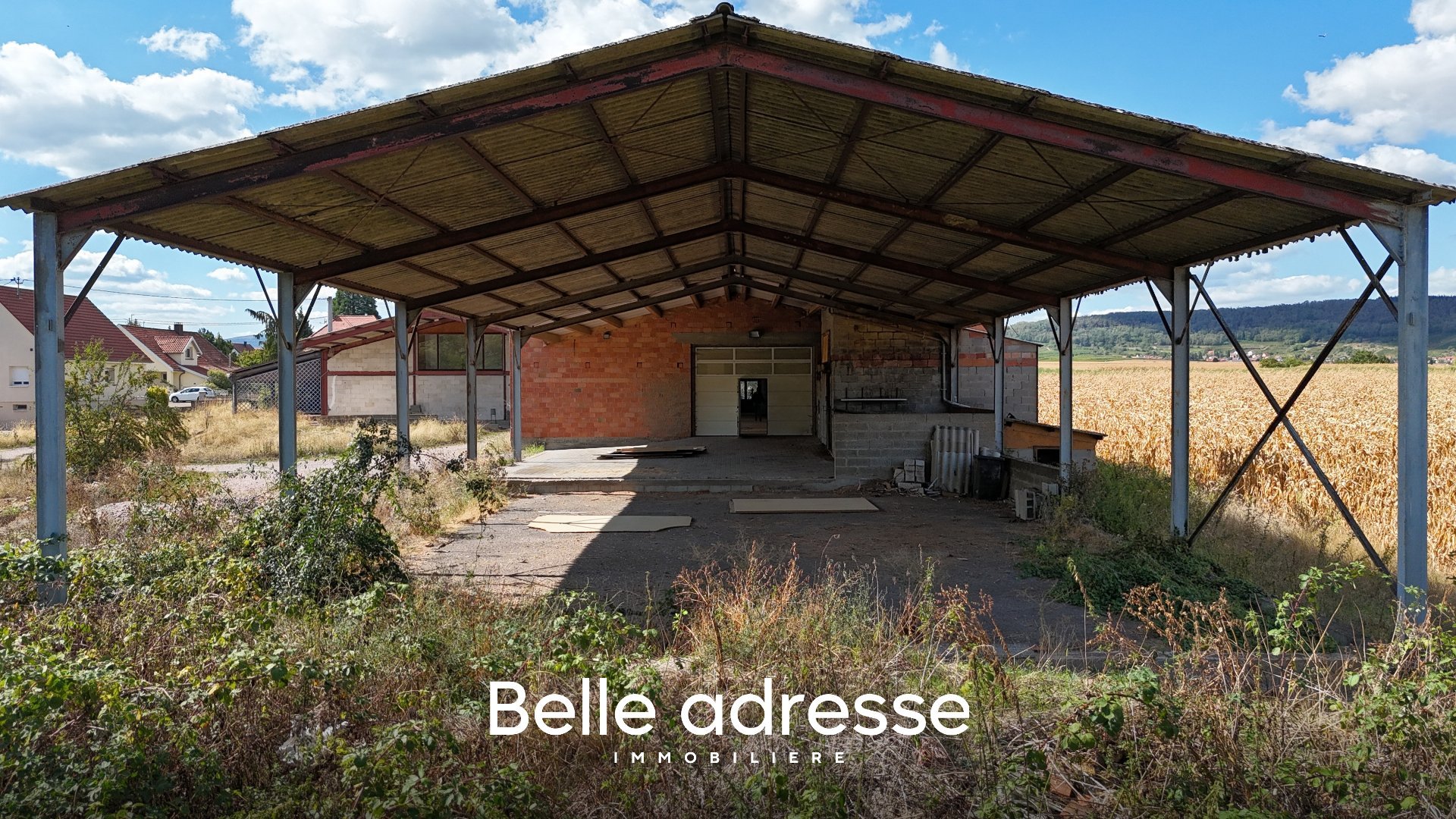 Maison à vendre, 900m², Odratzheim