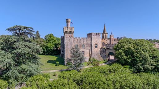 Maison 25 pièces 800 m² · à Uzès · 800 m² · 5 000 000 €