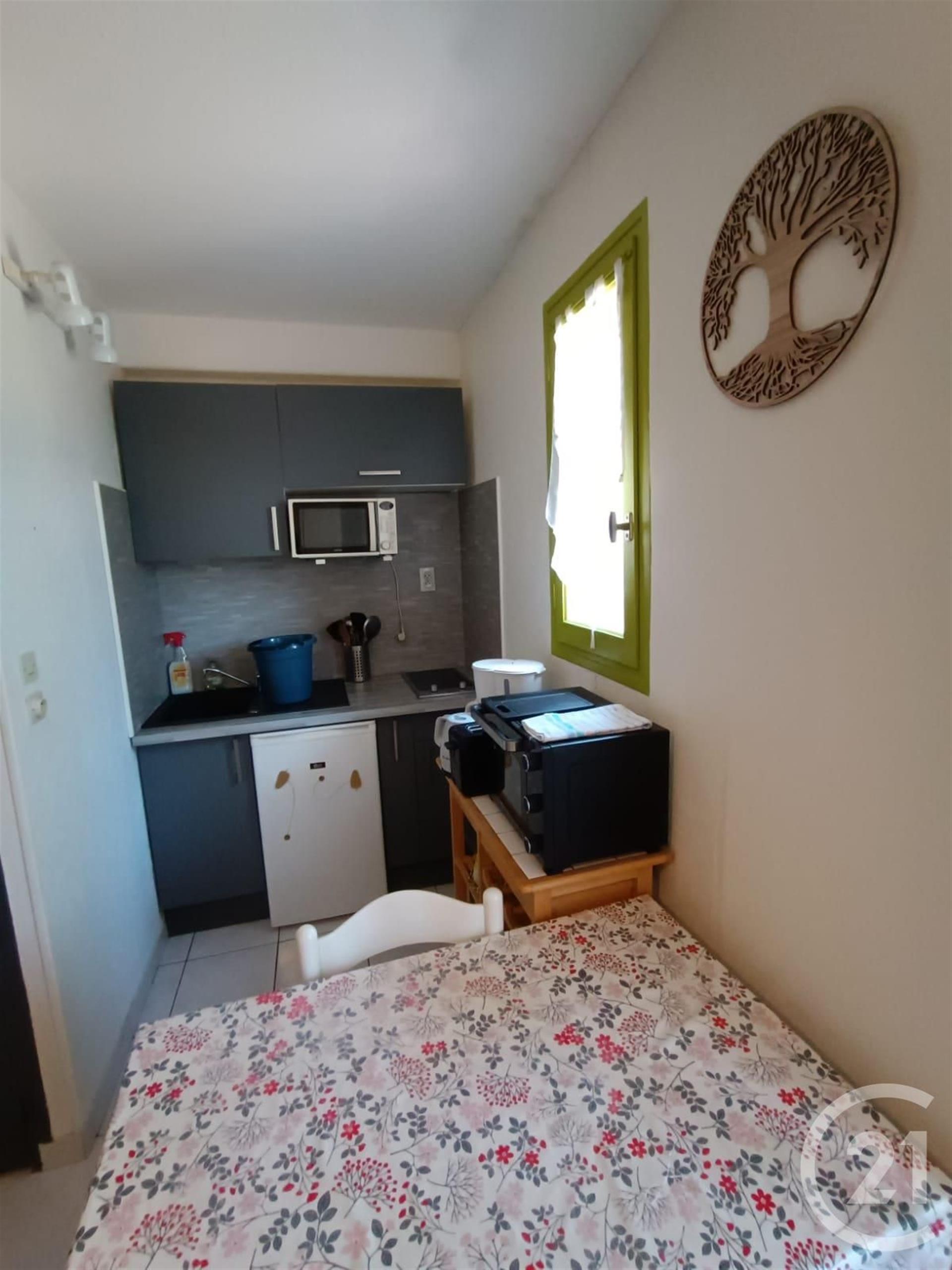 Appartement à vendre, 19m², Amélie-les-Bains-Palalda