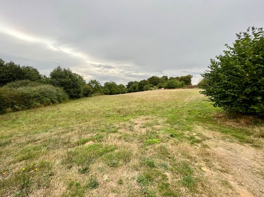 Terrain 6150 m² · à Bersac-sur-Rivalier · 36 000 €