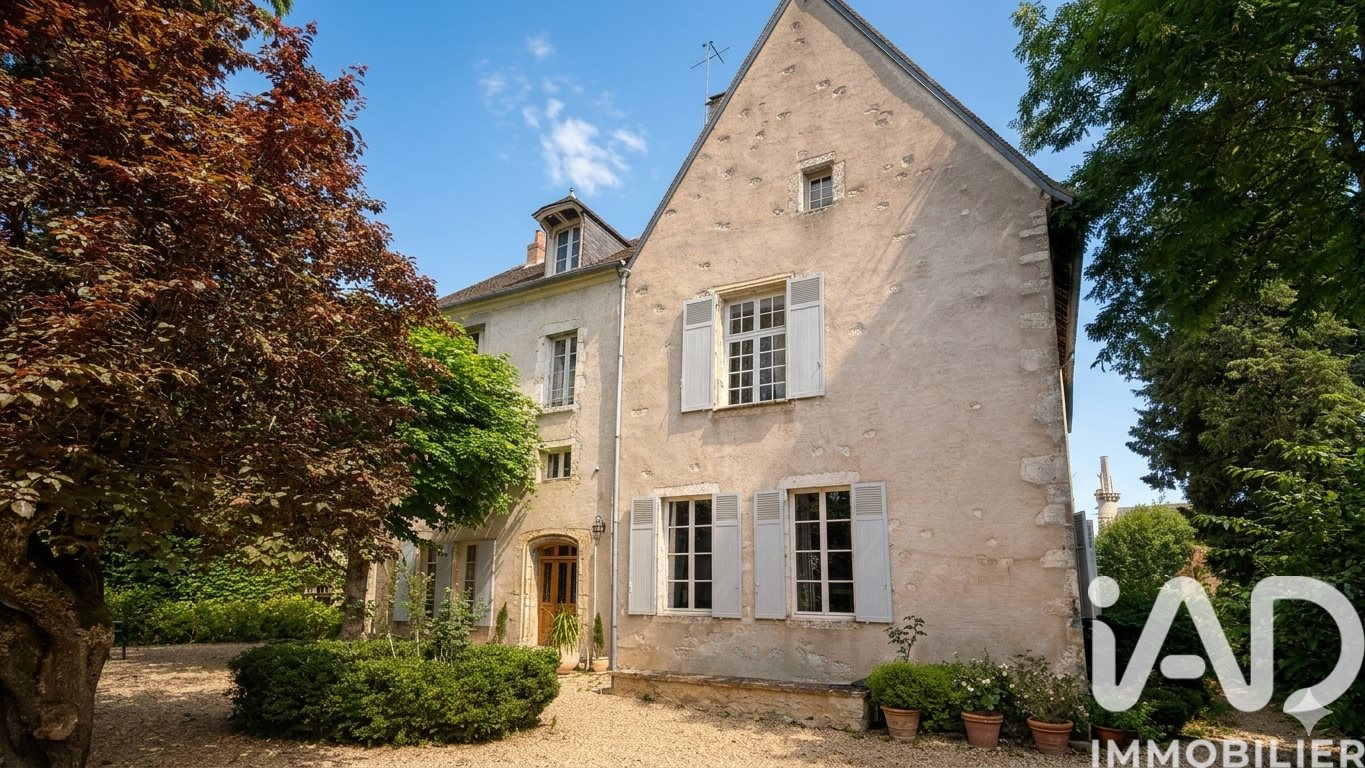 Maison à vendre, 400m², Mehun-sur-Yèvre