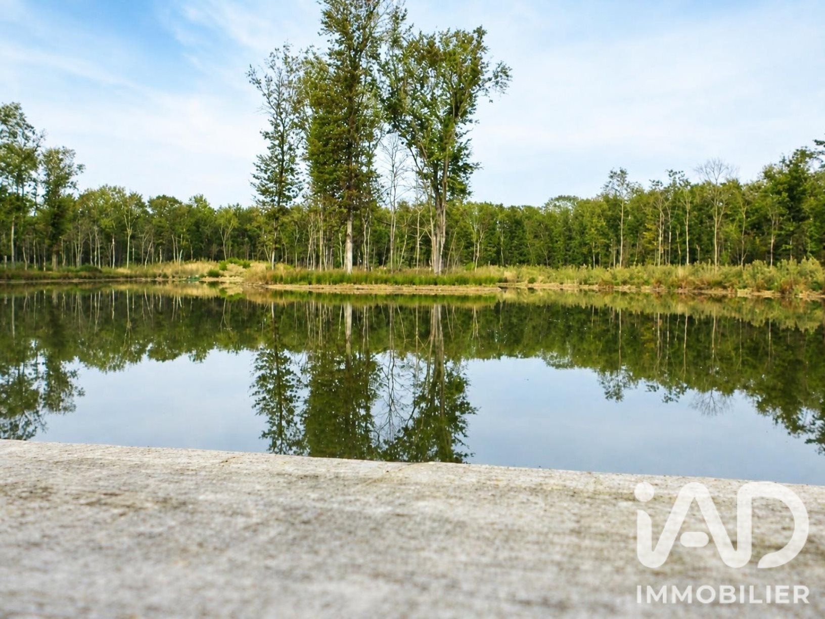 20-hectare wooded estate near Toulouse full of potential - Vue 2