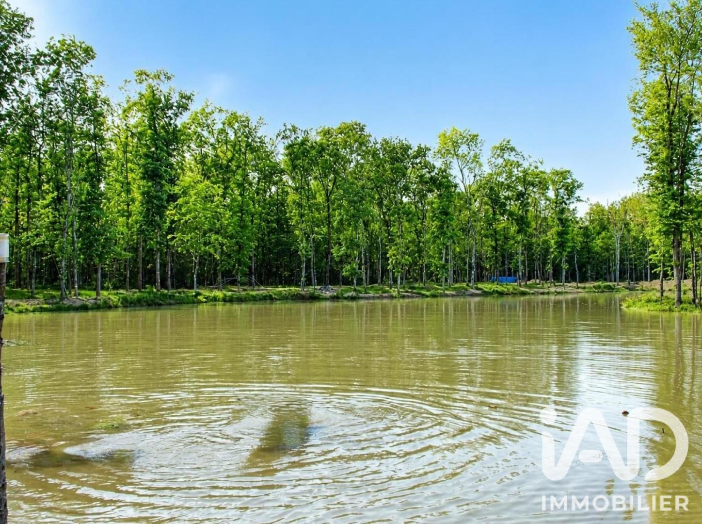 20-hectare wooded estate near Toulouse full of potential - Vue 3