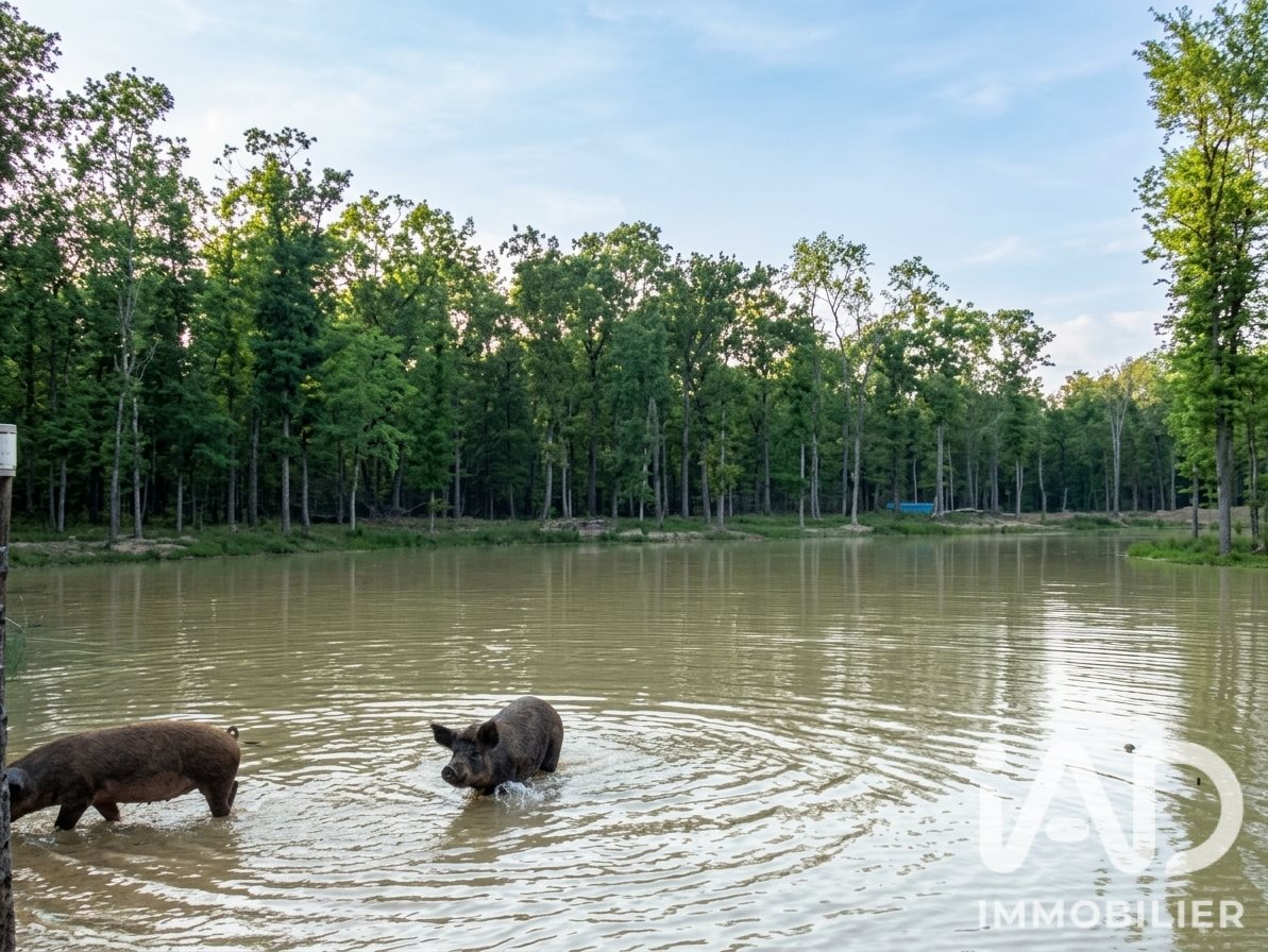 20-hectare wooded estate near Toulouse full of potential - Vue 4