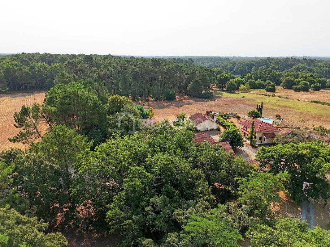 Maison à vendre, 550m², Seignosse