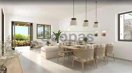 Advert pic 0