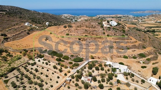 Advert pic 0