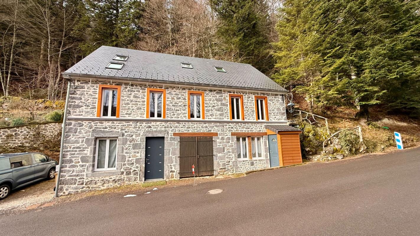 Maison à vendre, 224m², Mont-Dore