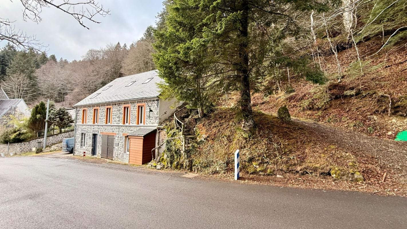 Maison à vendre, 224m², Mont-Dore