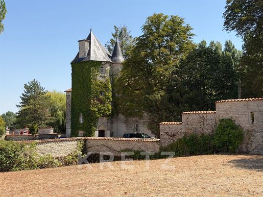 Maison 10 pièces 350 m² · à Fontenille-Saint-Martin-d'Entraigues · 350 m² · 850 000 €