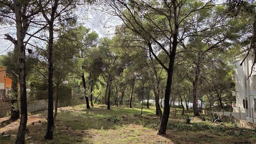 Advert pic 0