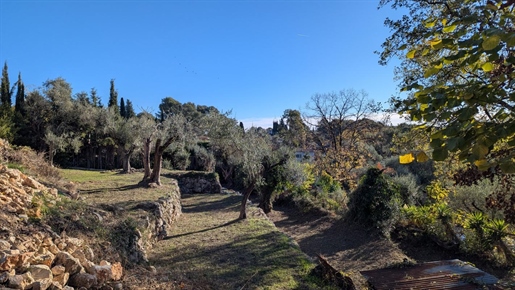 Advert pic 0
