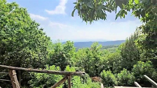Rustic cu teren mare și vedere panoramică de vânzare în Roccastrada, Roccatederighi