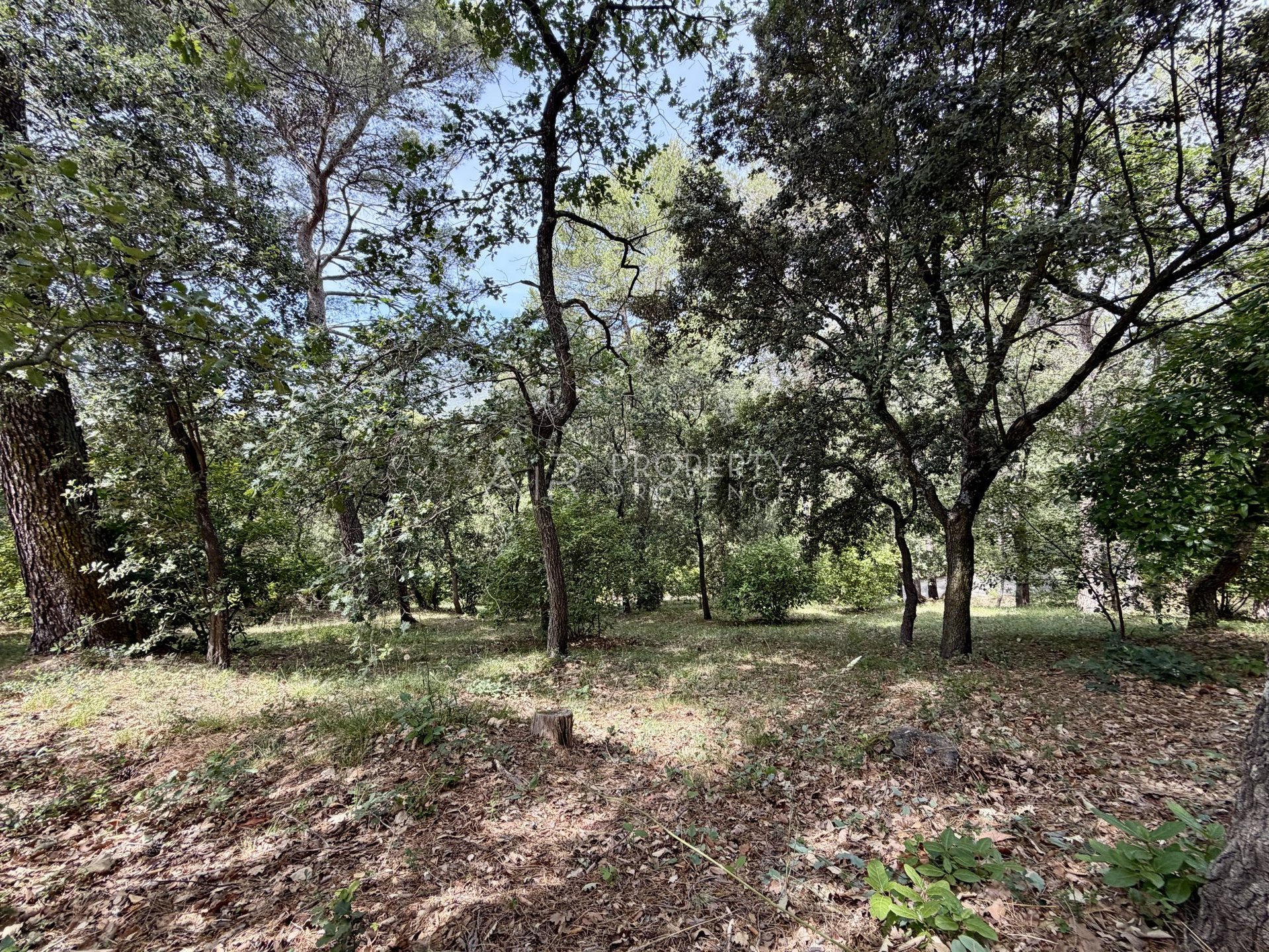Buildable Plot of Land in Lourmarin - Vue 2