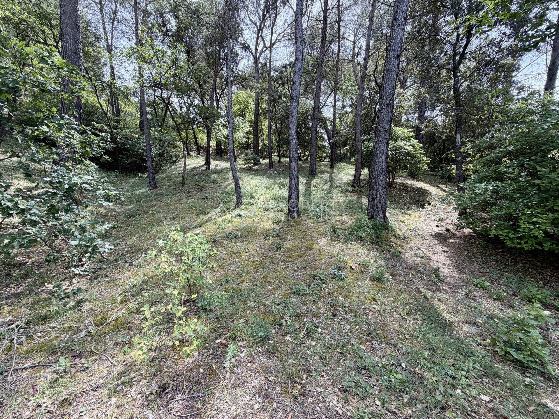 Buildable Plot of Land in Lourmarin - Vue 4