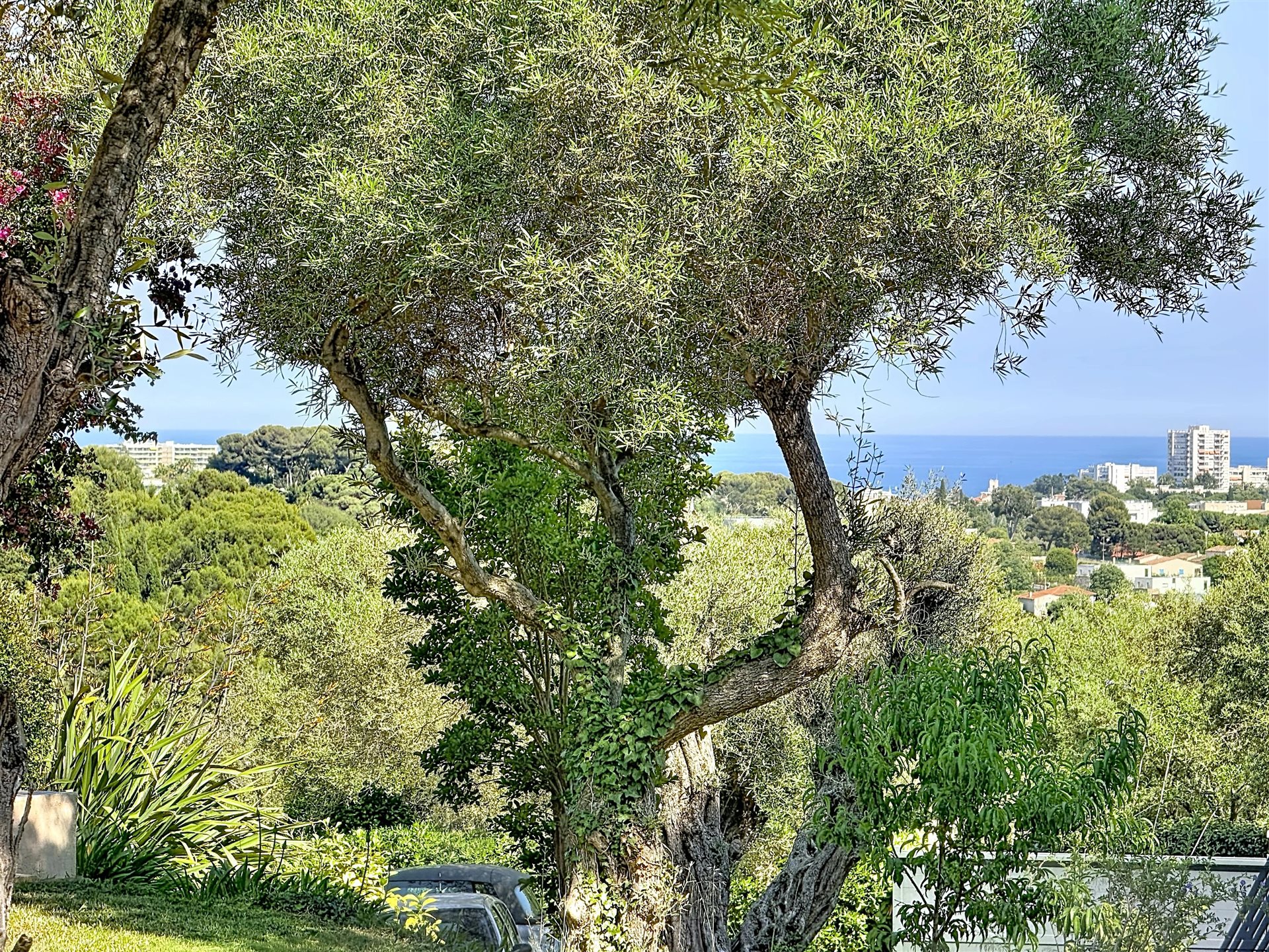 Maison – Antibes, Saint-Maymes, Alpes-Maritimes - Vue 5