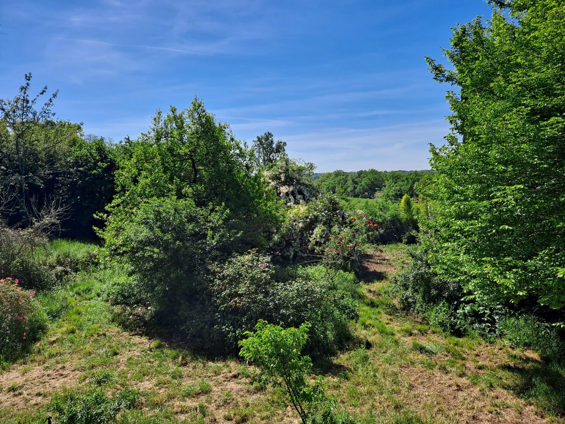Maison à vendre, 224m², Eauze