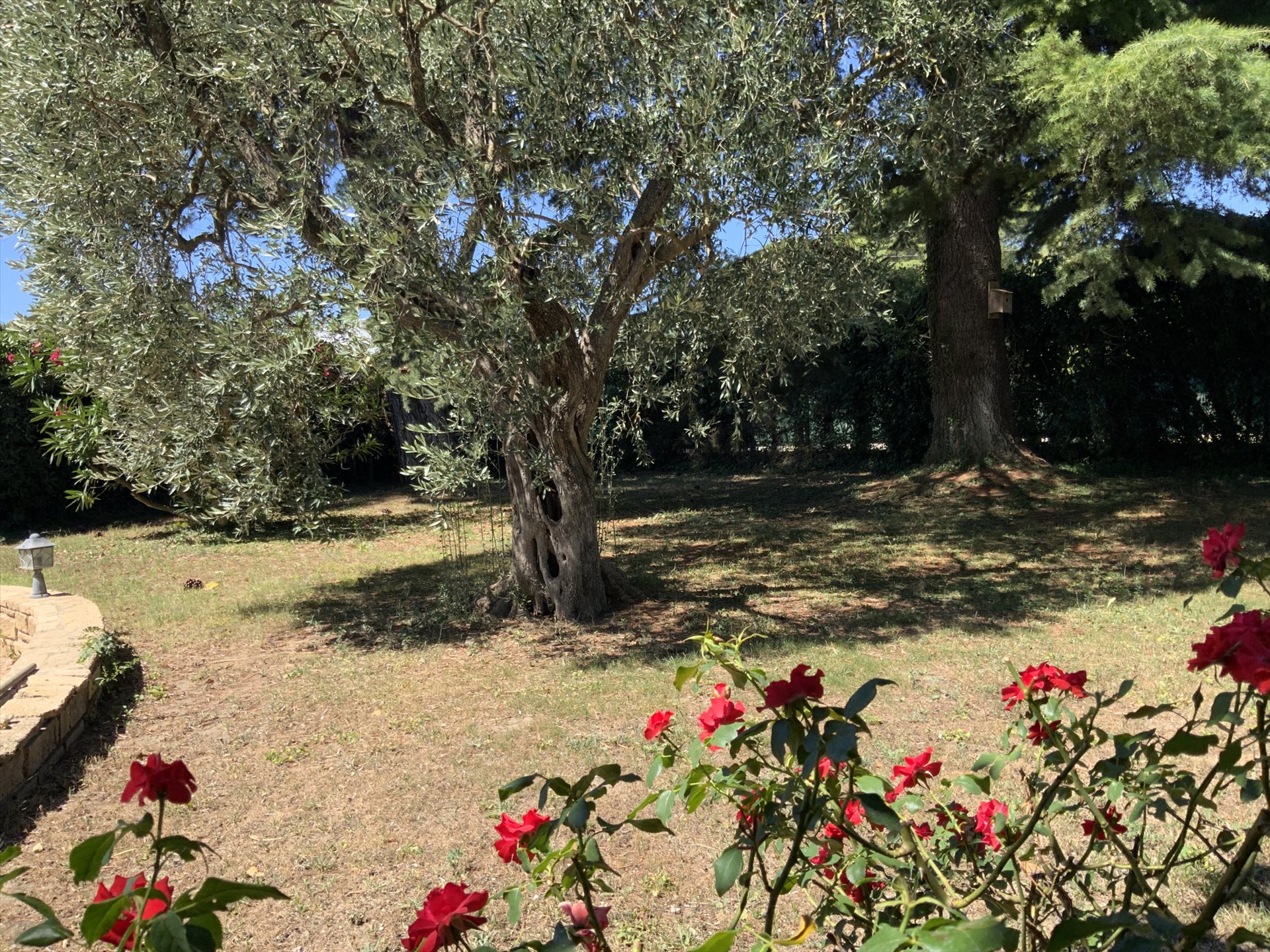 Maison à vendre, 150m², Uzès
